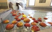 Туры в отель Dormy Inn Express Sendai Hirosedori Hot Spring