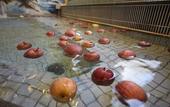 Туры в отель Dormy Inn Express Sendai Hirosedori Hot Spring