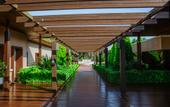 Туры в отель IC Hotels Residence