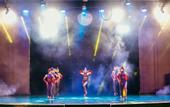 Туры в отель IC Hotels Residence
