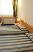 Туры в отель Hotel Continental Brescia