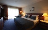 Туры в отель IC Hotels Airport