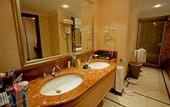 Туры в отель IC Hotels Airport