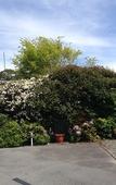 Туры в отель Arran Motel