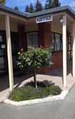 Туры в отель Arran Motel