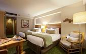 Туры в отель Marriott Tuxtla Gutierrez Hotel