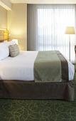 Туры в отель Marriott Tuxtla Gutierrez Hotel