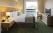 Туры в отель Marriott Tuxtla Gutierrez Hotel