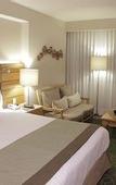 Туры в отель Marriott Tuxtla Gutierrez Hotel