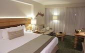 Туры в отель Marriott Tuxtla Gutierrez Hotel