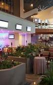 Туры в отель Marriott Tuxtla Gutierrez Hotel