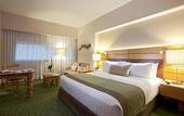 Туры в отель Marriott Tuxtla Gutierrez Hotel