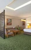 Туры в отель Marriott Tuxtla Gutierrez Hotel