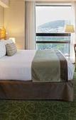 Туры в отель Marriott Tuxtla Gutierrez Hotel