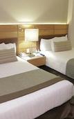 Туры в отель Marriott Tuxtla Gutierrez Hotel