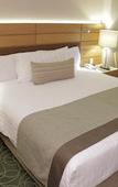 Туры в отель Marriott Tuxtla Gutierrez Hotel
