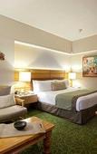 Туры в отель Marriott Tuxtla Gutierrez Hotel