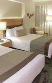 Туры в отель Marriott Tuxtla Gutierrez Hotel