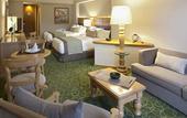 Туры в отель Marriott Tuxtla Gutierrez Hotel