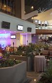 Туры в отель Marriott Tuxtla Gutierrez Hotel