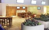 Туры в отель Marriott Tuxtla Gutierrez Hotel