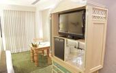 Туры в отель Marriott Tuxtla Gutierrez Hotel