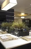 Туры в отель Courtyard Toluca Tollocan