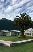 Туры в отель Franz Josef Oasis