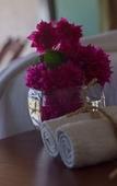 Туры в отель Hotel Villa de Pescadores