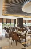 Туры в отель Radisson Blu Hotel Indore