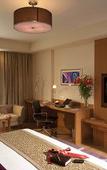 Туры в отель Radisson Blu Hotel Indore