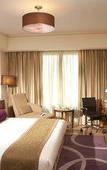 Туры в отель Radisson Blu Hotel Indore