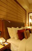 Туры в отель Radisson Blu Hotel Indore