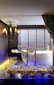 Туры в отель Radisson Blu Hotel Ludhiana