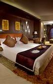 Туры в отель Radisson Blu Hotel Ludhiana