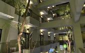 Туры в отель Savana Hotel & Convention Malang
