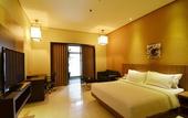 Туры в отель Savana Hotel & Convention Malang