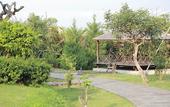 Туры в отель The Singhasari Resort