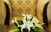 Туры в отель Muong Thanh Luxury Lang Son Hotel