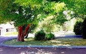 Туры в отель Karri Forest Motel