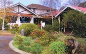 Туры в отель Karri Forest Motel