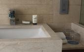 Туры в отель Hyatt Ahmedabad