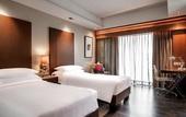 Туры в отель Hyatt Ahmedabad