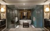 Туры в отель Hyatt Ahmedabad