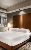 Туры в отель Hyatt Ahmedabad