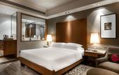 Туры в отель Hyatt Ahmedabad