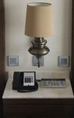 Туры в отель Hyatt Ahmedabad