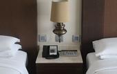 Туры в отель Hyatt Ahmedabad