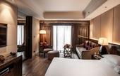 Туры в отель Hyatt Ahmedabad