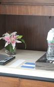 Туры в отель Hyatt Ahmedabad